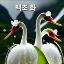 자연치유