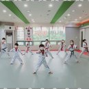 용인대 꿈나무태권도장 이미지