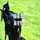 강원도청제2청사 | 세종맛집 보람동 몸보신 맛집 세종청사용포맛집 흑염소탕 후기