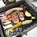 광양맛집 돼지한마리 광양삼겹살 밑반찬 많은 고기집 솔직후기