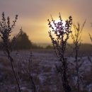 민 행정사 이미지