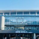 초량중로 | 부산 여행 2박3일 일정 맛집 추천 광안리해수욕장 드론쇼 후기(1일차)