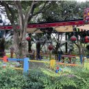 제주해양동물박물관 이미지