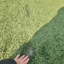 종합운동장 보조구장B 이미지