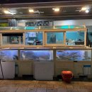 양산대박상추튀김 | 양산횟집 남부시장 와와수산, 푸짐한 모둠회부터 매운탕까지 제대로 즐기고 온 후기
