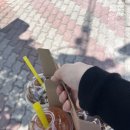카페봄봄진량봉회점 | 경산 진량 모임하기 좋은 룸식당 복어샤브샤브 복어해물찜맛집 ‘복어세상’ 솔직후기