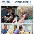 희망메디칼 뉴스1