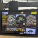 옥수동 | 옥수동 중식 맛집 아원 후기