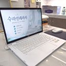 수라인 | 세종 나성동 경락 마사지 추천 수라인 테라피 등관리 반한 후기