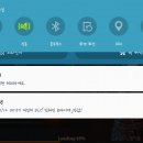 반값복사 이미지