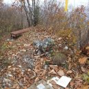 아리힐스(짚와이어) 이미지