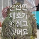 회포장바다횟집