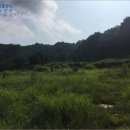 이현동4 이미지