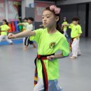 브레인박사 태권도장 이미지