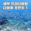 모터피시 | 세부 여행 3탄_ 프리다이빙 1일차 다이빙 포인트 힐루퉁안 마린스테이션