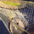 나무 조형물 이미지