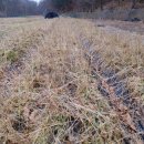 터골농원 이미지