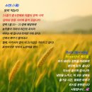 흐르는 시간에게 배운 자혜...📚 이미지