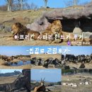 오리엔탈렌터카(주) | 후쿠오카 가족여행 벳푸 아프리칸 사파리 렌트카 이용후기