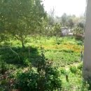 박촌한의원 이미지