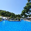 다온숲어린이집 이미지