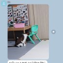 학익동물병원 이미지