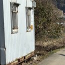 부곡동물병원 | #. 지나가던 고양씨와, 마무리