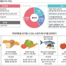 [생활습관] 식이조절 등 습관관리, 약물효과 증폭시키는 핵심이상지질혈증 생활습관 관리 이미지