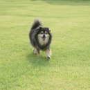 까사델뻬로 이미지