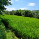 포항시북구1 이미지