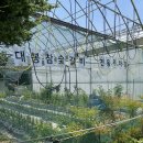 대봉참숯갈비 이미지