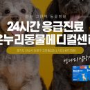 하트동물메디컬센터 이미지