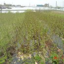 목화농원 이미지