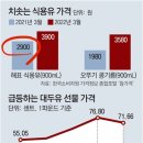 식용유(콩기름) 사서 재워 두기 이미지