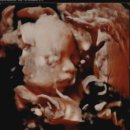 행신그린의원 이미지