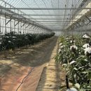 길만농장 이미지