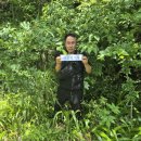 천도장묘 이미지