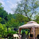 비발디베르만펜션 이미지