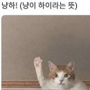 금빈회관 이미지