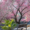 매화1공원 이미지