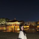 [명품백추천]명동 롯데백화점 본점에서 루이비통에서 온더고 이스트웨스트 블랙 구매 후기(+이너백)
