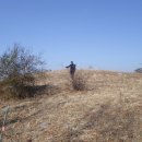 금곡목장 이미지