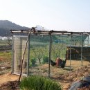 태안양계장 이미지