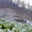 선근이네 이미지