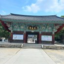 산빛약초꽃차