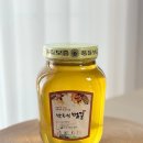 연백인삼