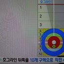 요즘 컬링이 대세 이미지