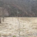 청송목장2 이미지