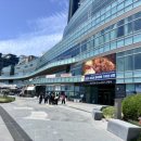 The로제 | 『부산 가볼만한곳』 부산에서 제일 높은 건물 엑스더스카이 반값할인 받는 법 “부산로제팝업” 후기