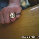 엘비스 클럽 Daum카페